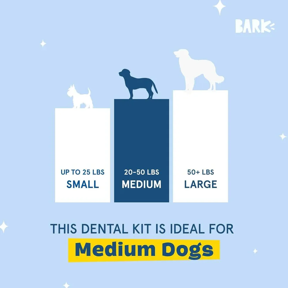 Barkbox Bright Dog Dental Kit 30 Teeth Cleaning Chew Sticks & Toothpaste, Medium